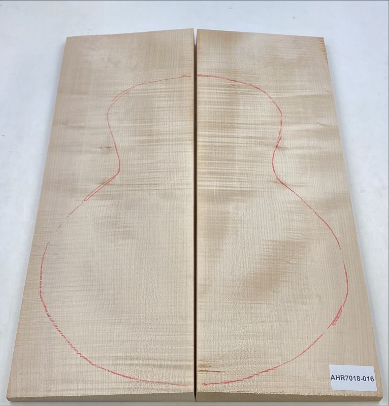 Back & Sides Sycamore / Europ. Maple, Archtop Unique Piece #016